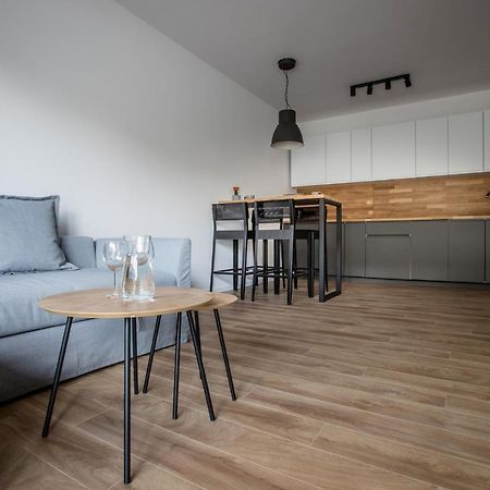 Longinus Apartament 博莱斯瓦维茨 外观 照片